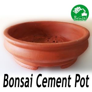 Bonsai Plants | Bonsai Soil | Bonsai Pots | Bonsai Tools seller in Sri Lanka
