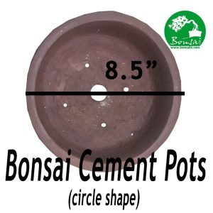 Bonsai Pot 8" Circle shape Cement (Brown Color)